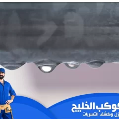 شركة كشف تسربات المياه في العين