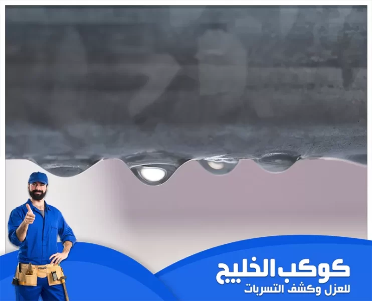 شركة كشف تسربات المياه في العين