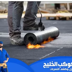 شركة عزل اسطح في دبي