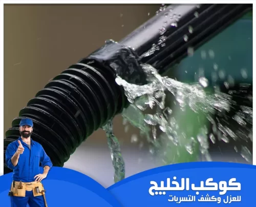 شركة كشف تسربات المياه في الفجيرة بالضمان 0567121544 كشف تهريب المياه يتم تقديم خدمة كشف تسربات المياه في الفجيرة بالضمان من خلال فريق محترف في كشف تسرب المياه.
