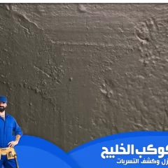 شركة معالجة الرطوبة في الامارات